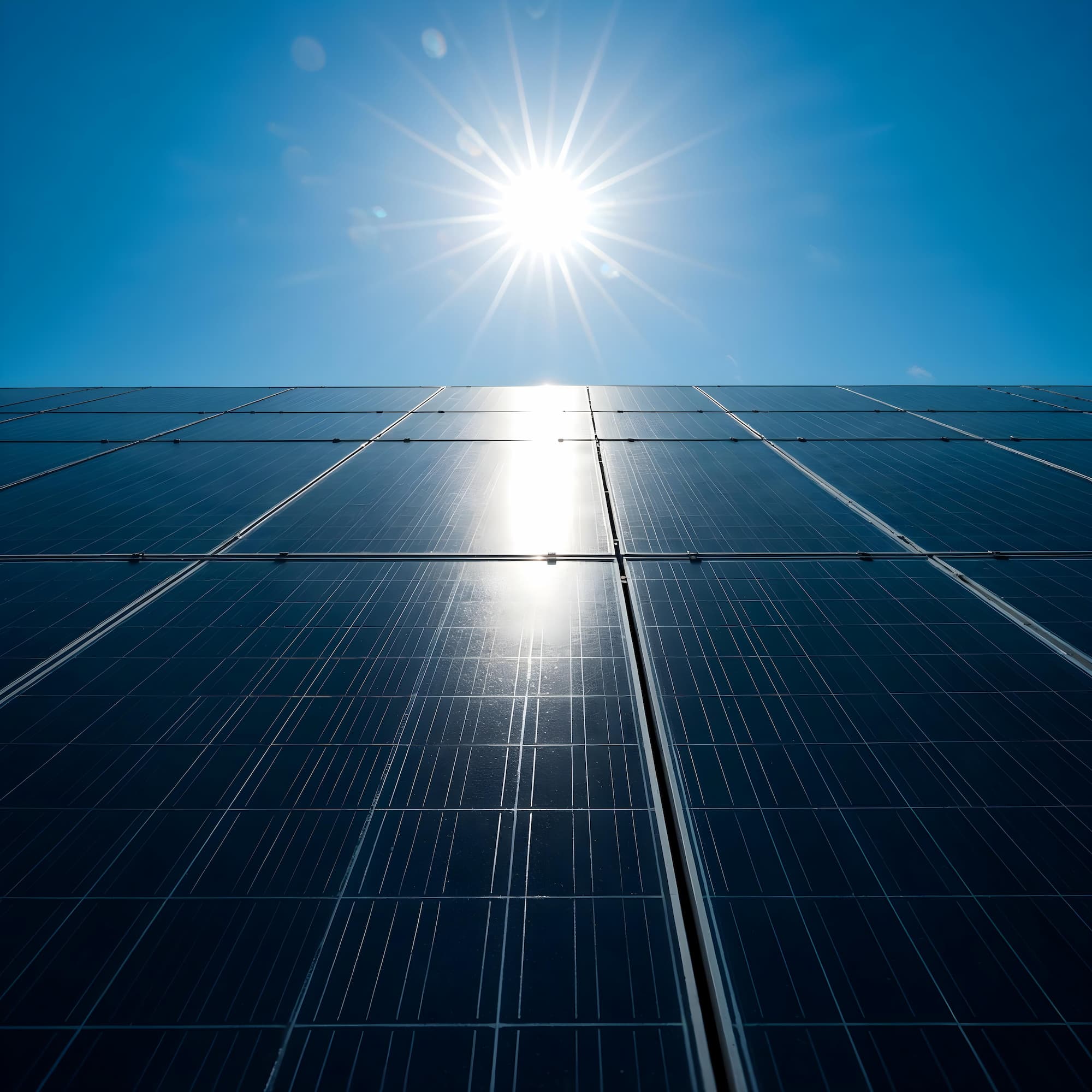 Paneles solares